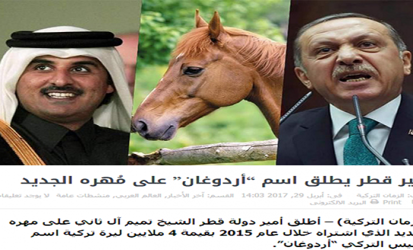 أمير قطر يسمي حصانه “أردوغان”!