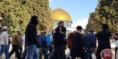 مستوطنون إسرائيليون يجددون اقتحام المسجد الأقصى