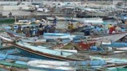 تقرير: استمرار دول العدوان في استنزاف وتدمير الثروة السمكية بالسواحل اليمنية