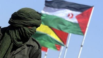 السلطات المغربية :تطرد 8 حقوقيين أوروبيين يدافعون عن سجناء من نشطاء الصحراء الغربية