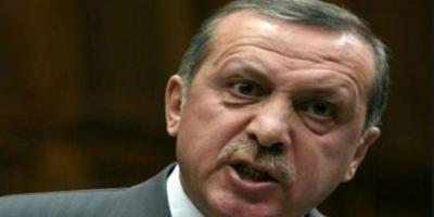 صحيفة نمساوية: أردوغان يشكل تهديدا للديمقرطية بسعيه للسلطة المطلقة